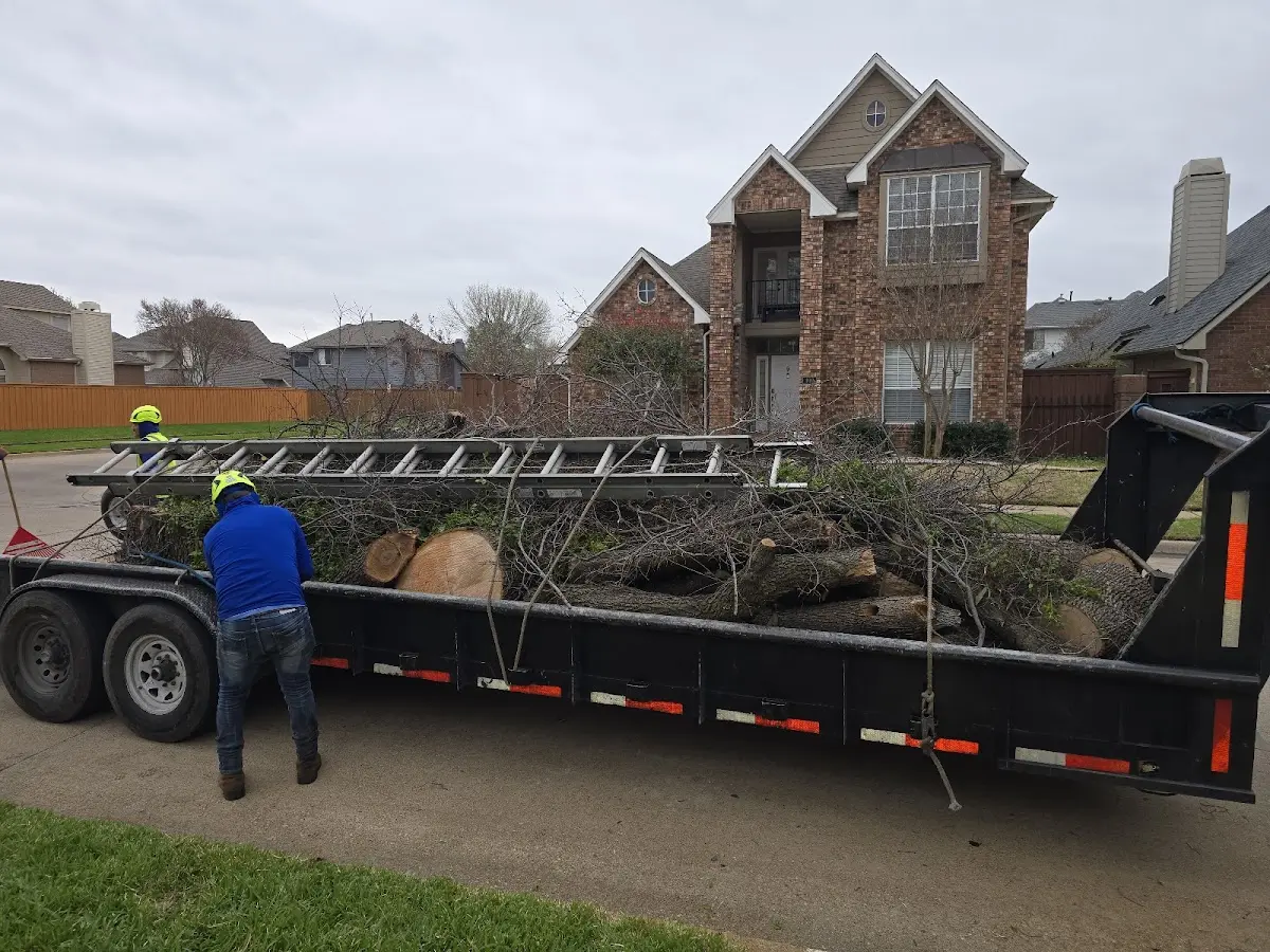 Expert Crown Reduction with proper safety equipment in Crows Landing